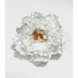 Peonia Blanca