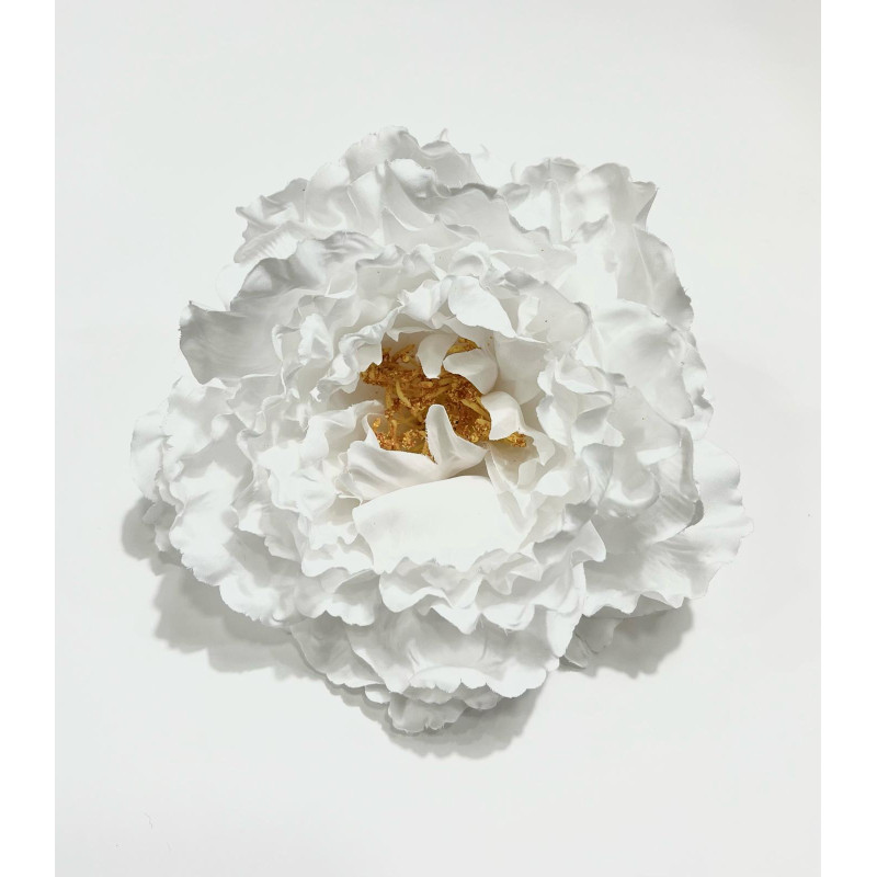 Peonia Blanca