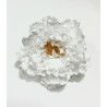 Peonia Blanca