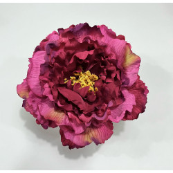 Peonia Buganvilla varios tonos