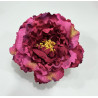 Peonia Buganvilla varios tonos
