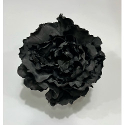 Peonia Negra