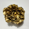 Peonia Dorada