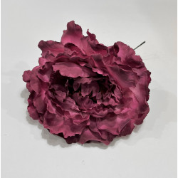 Peonia Tinto