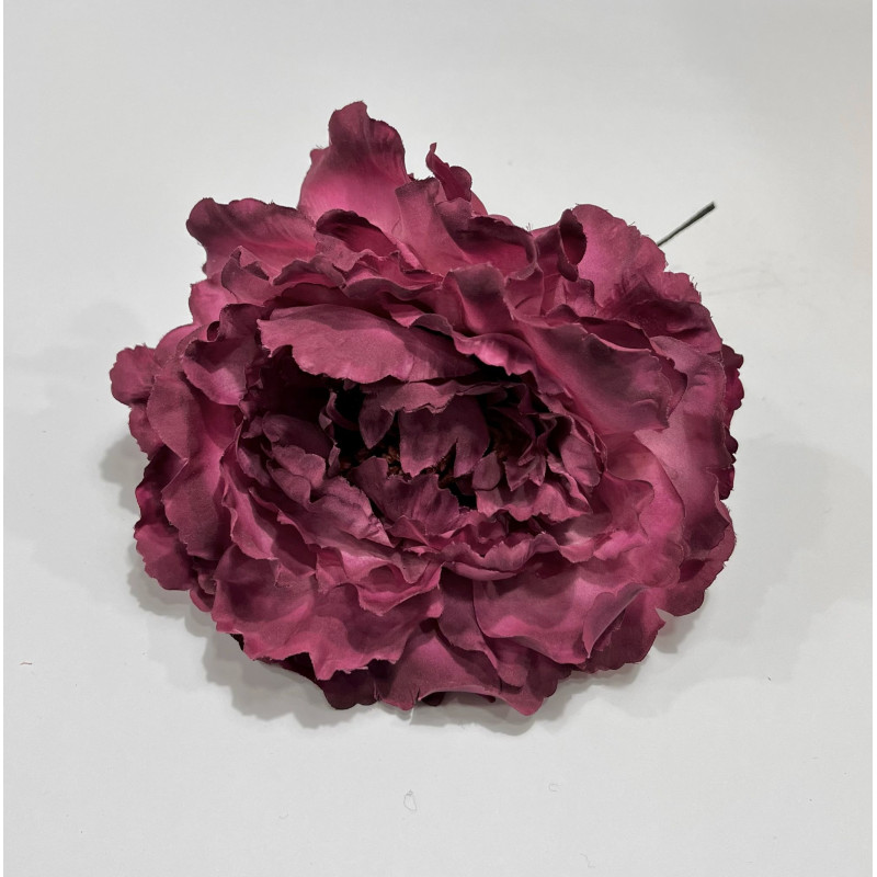Peonia Tinto