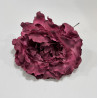 Peonia Tinto