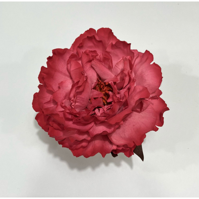 Peonia Fucsia Claro