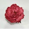 Peonia Fucsia Claro