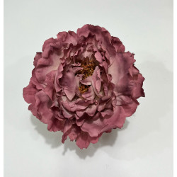 Peonia Maquillaje Oscuro