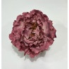 Peonia Maquillaje Oscuro