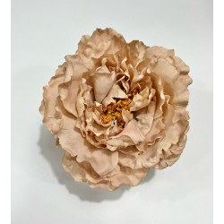 Peonia Nude