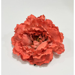 Peonia Coral