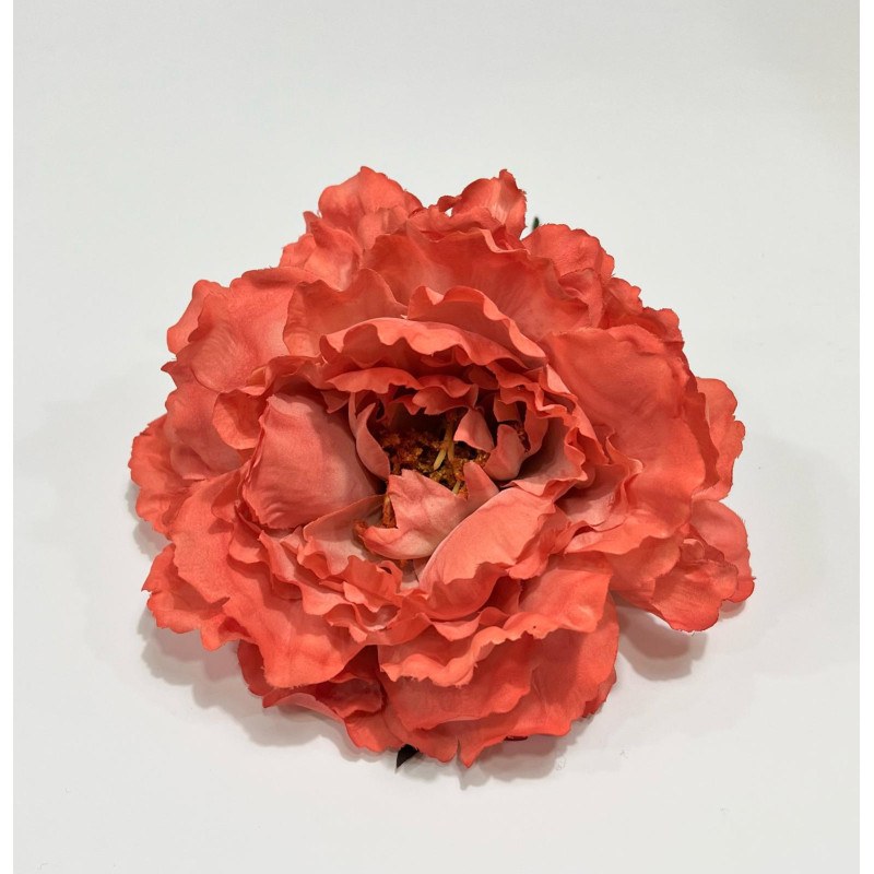 Peonia Coral