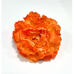 Peonia Naranja Chillon