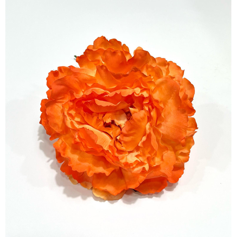 Peonia Naranja Chillon