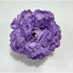 Peonia Malva Crema