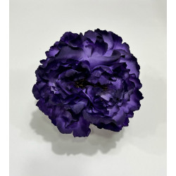 Peonia Morada Oscura