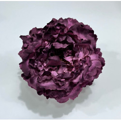 Peonia Cardenal Oscuro