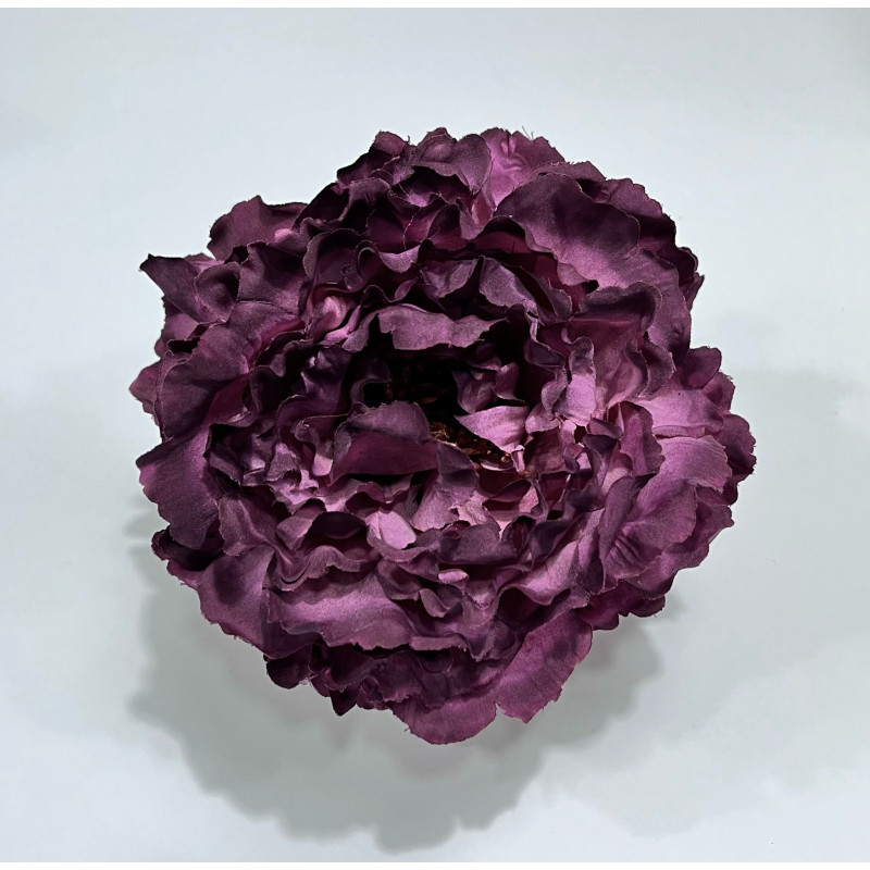 Peonia Cardenal Oscuro