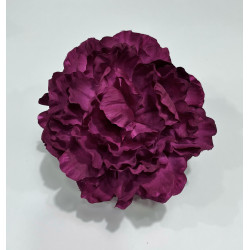 Peonia Cardenal Claro