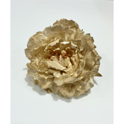 Peonia Marfil Dorado