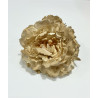 Peonia Marfil Dorado