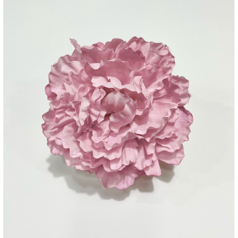 Peonia Rosa