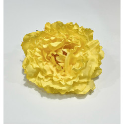 Peonia Amarilla
