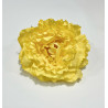 Peonia Amarilla