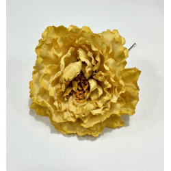 Peonia Mostaza