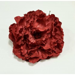 Peonia Teja