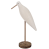 Gaviota Madera Blanca