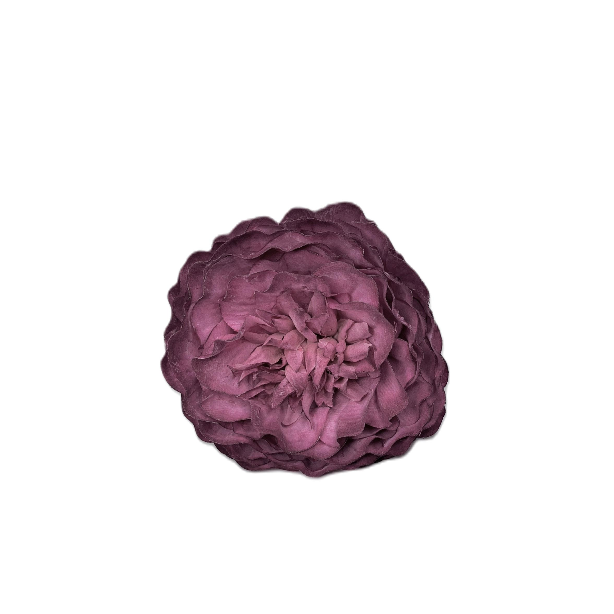 Flor Aveiro Buganvilla