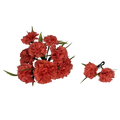 Ramillete de clavellinas coral