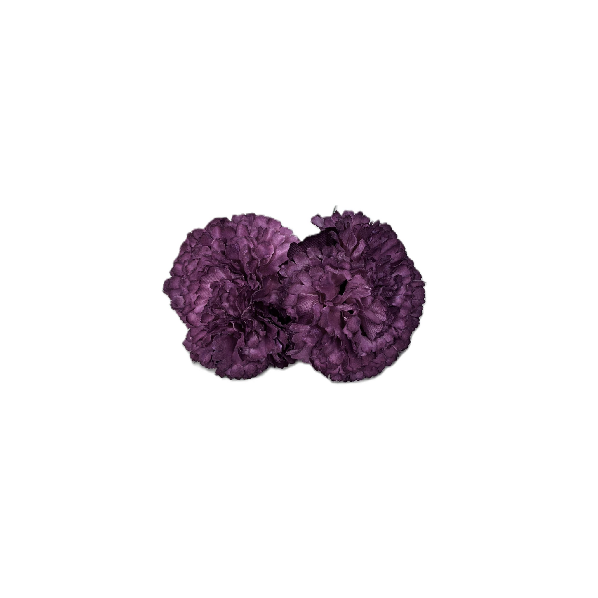 Dúo de Clavel Buganvilla