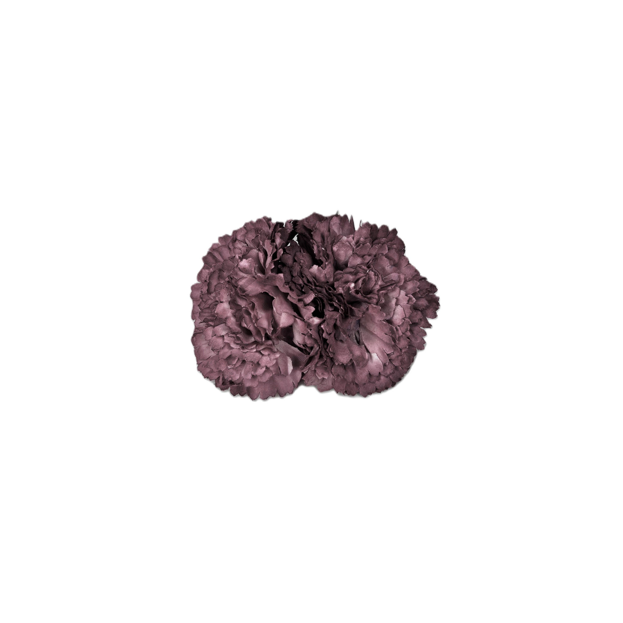 Dúo de Clavel Maquillaje Oscuro