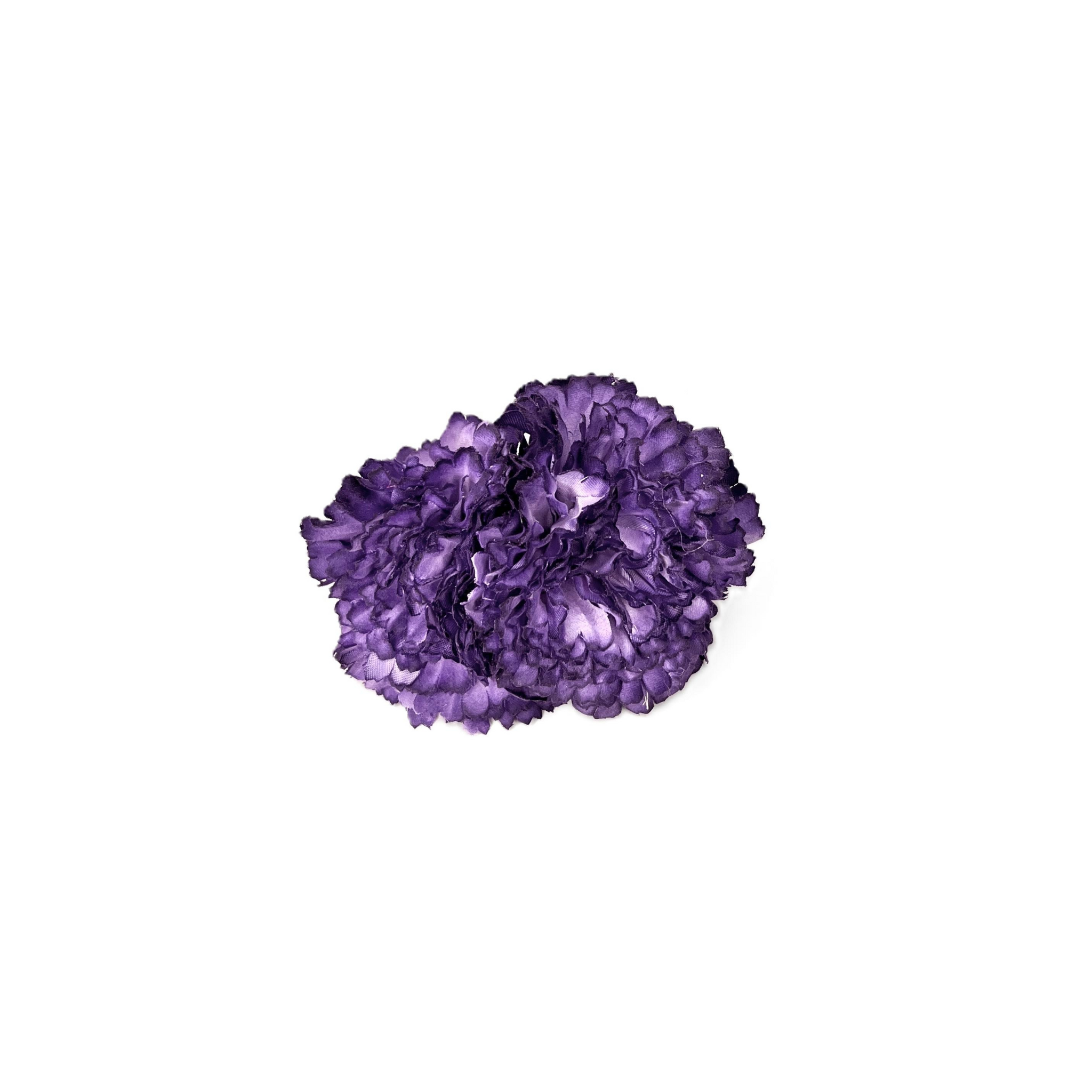 Dúo de Clavel Morado