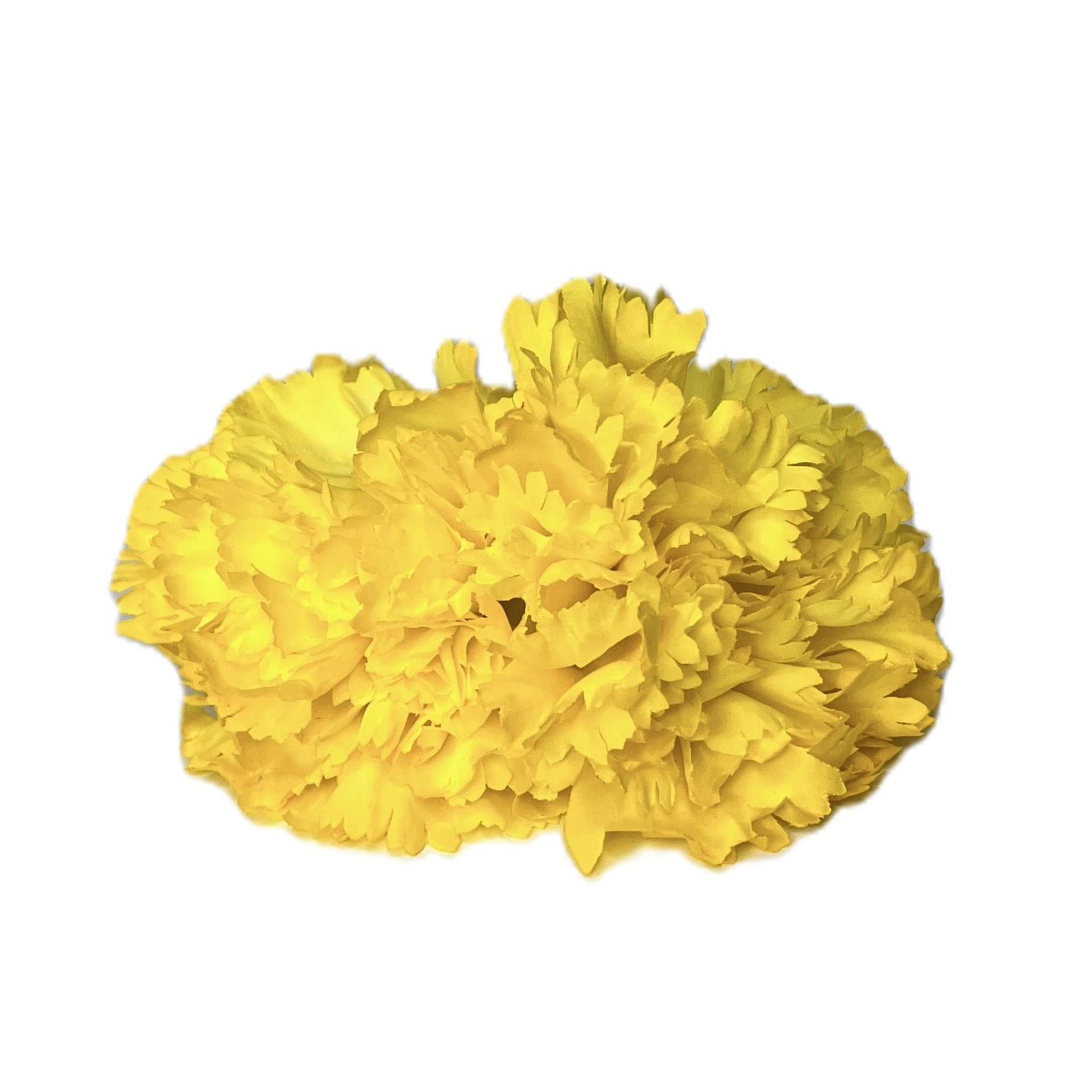 Dúo de Clavel Grande Amarillo