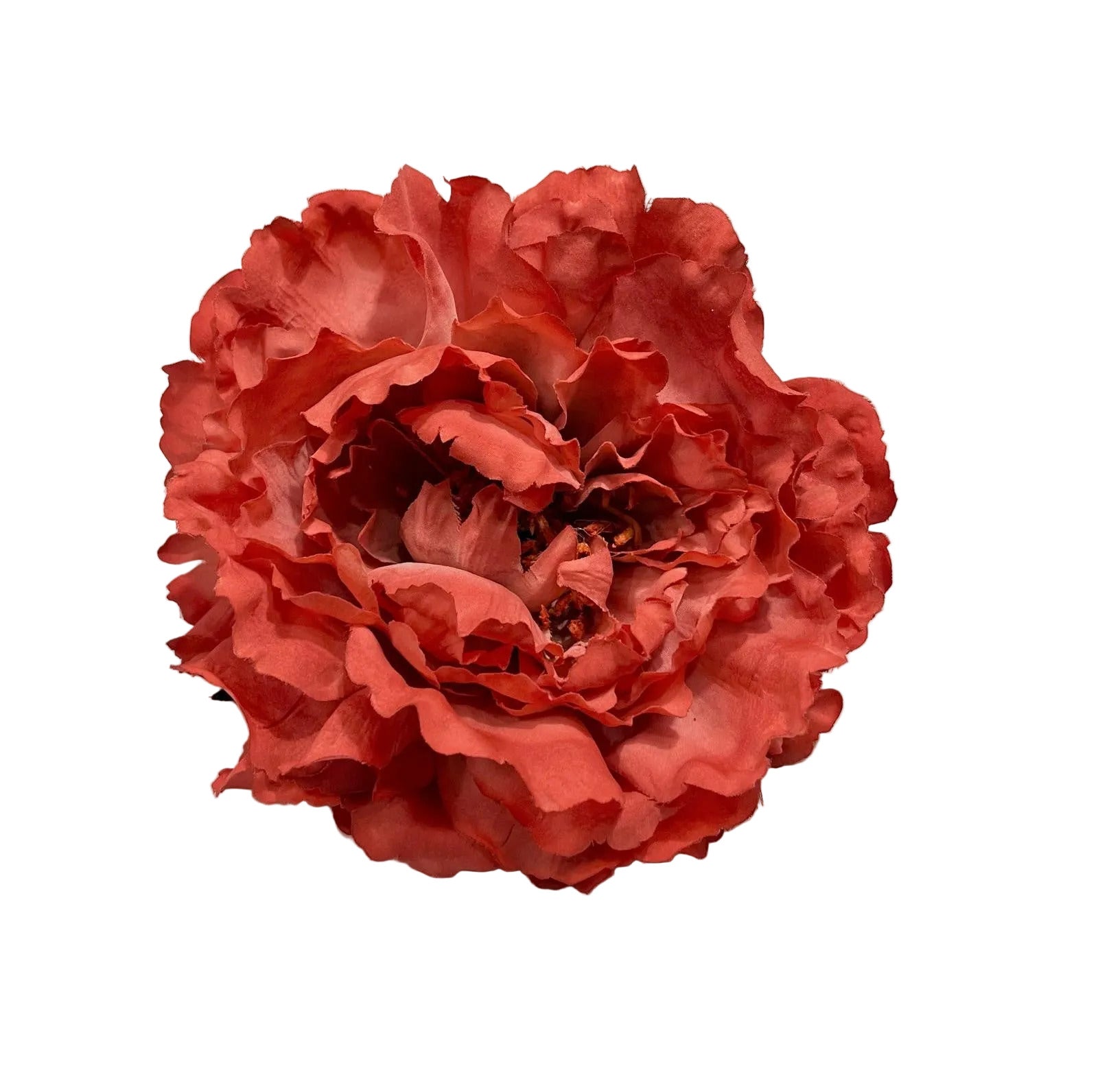 Peonia Coral Piedra