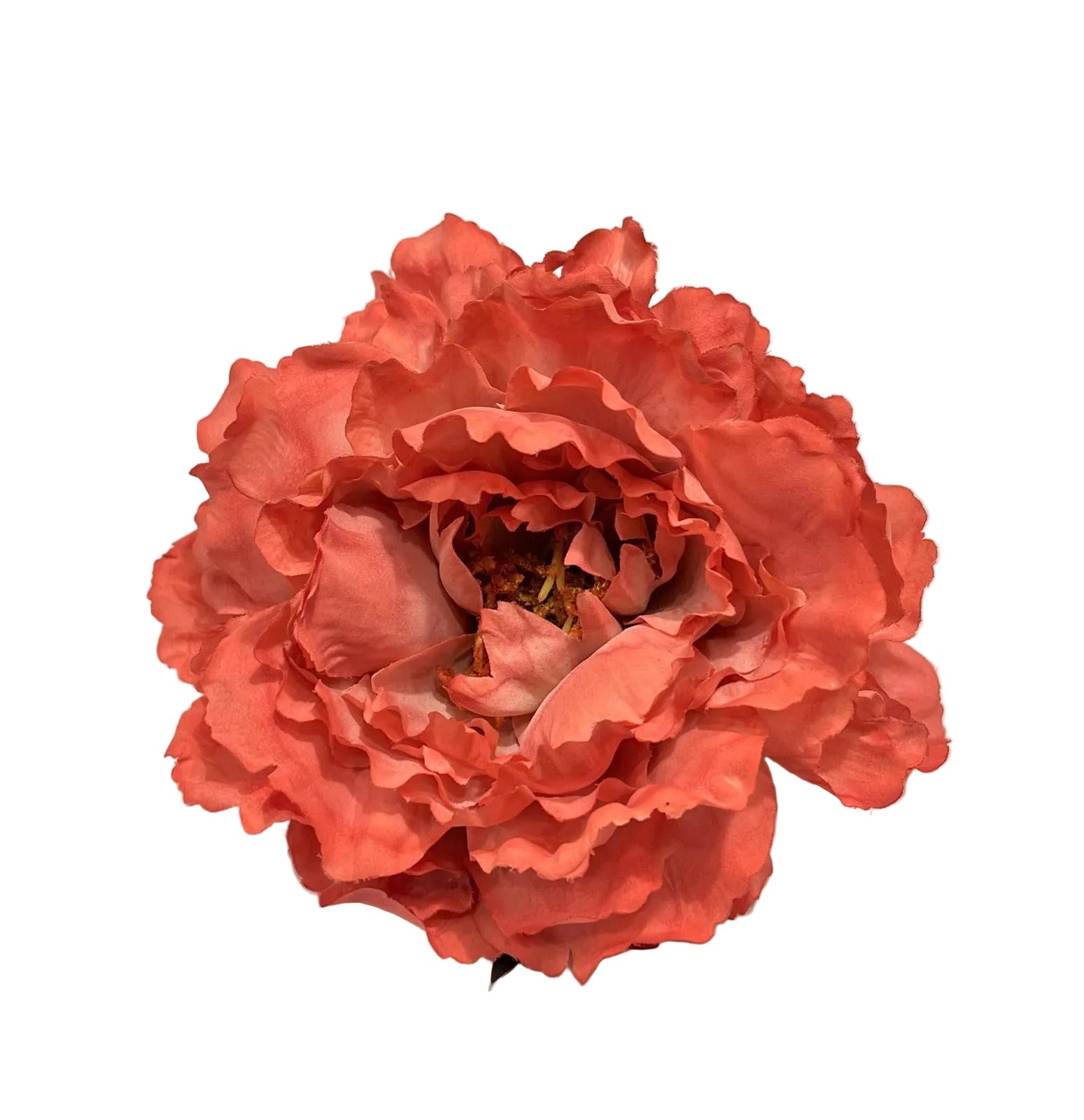 Peonia Coral