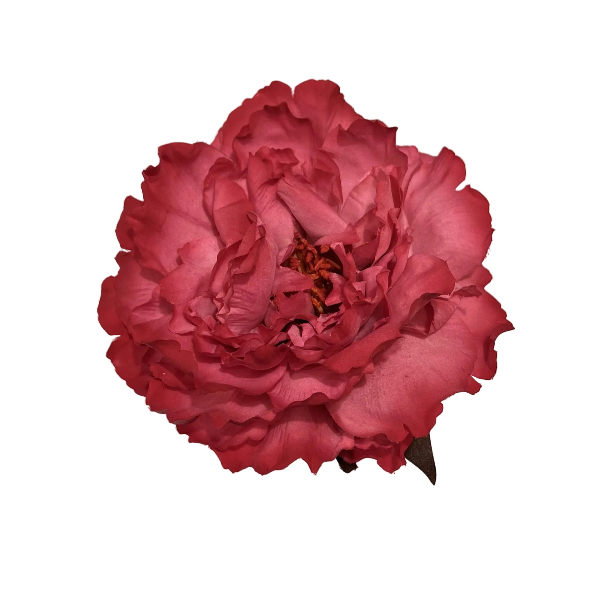 Peonia Fucsia Claro