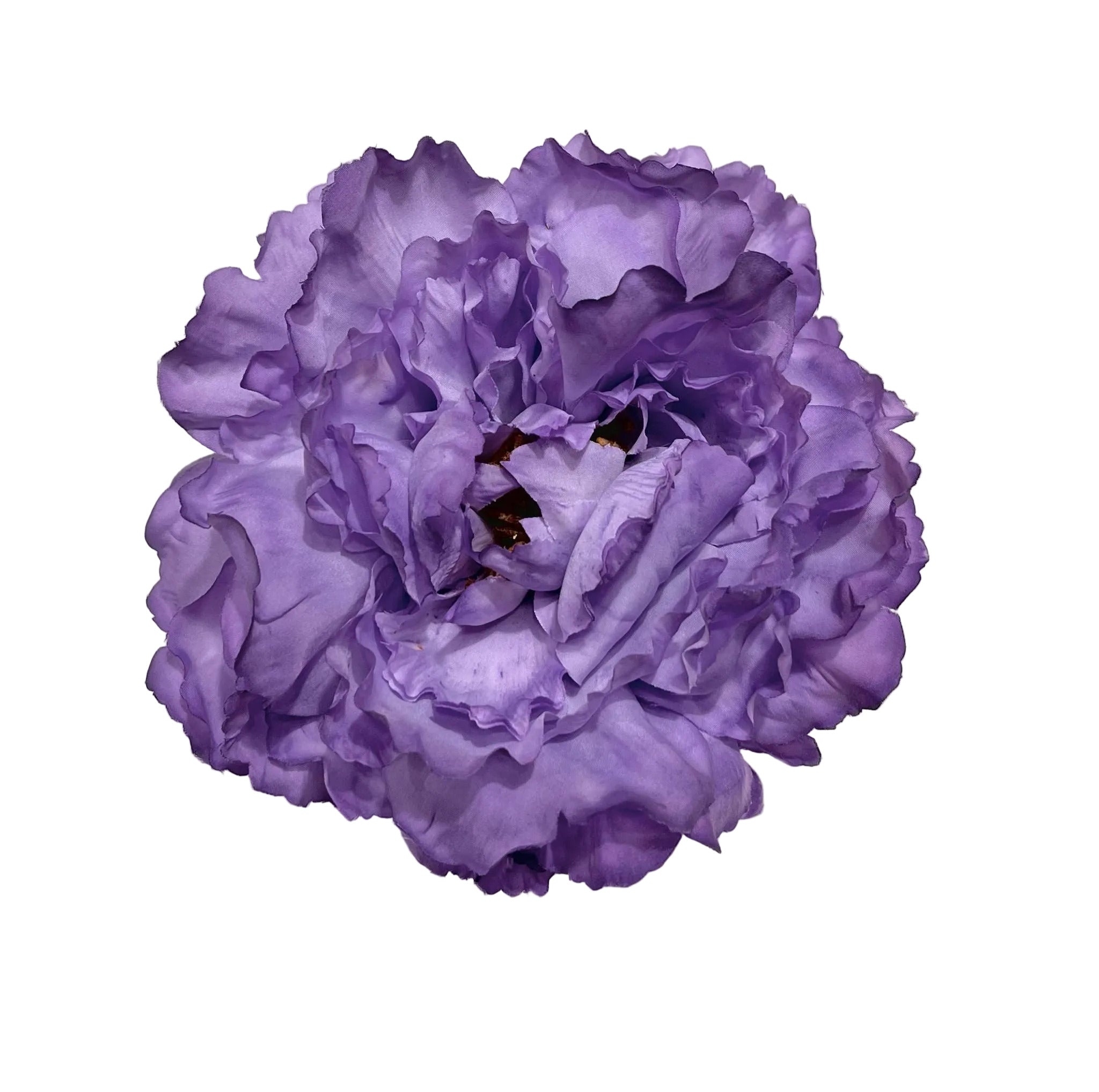Peonia Malva Crema
