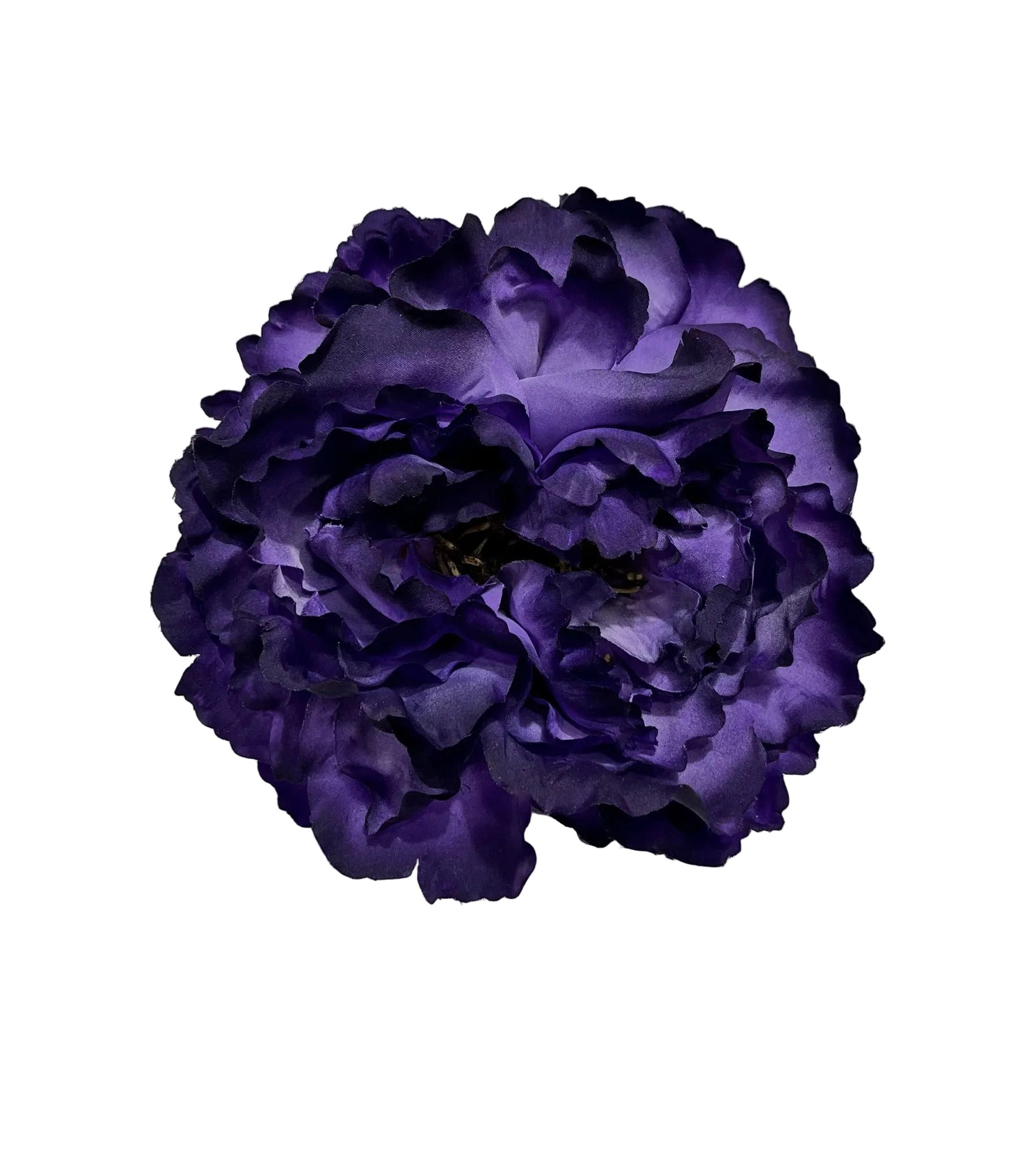 Peonia Morada Oscura
