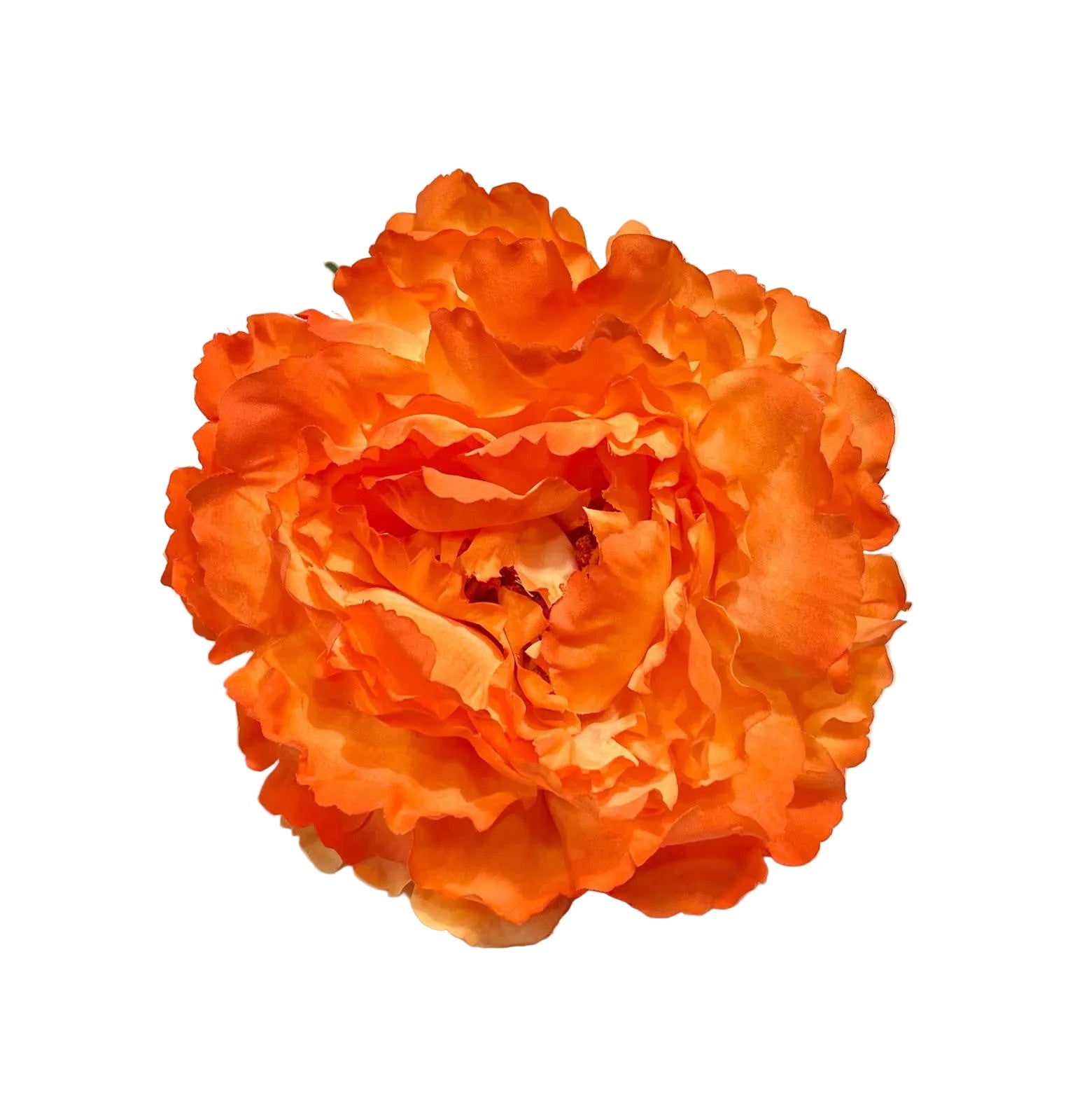 Peonia Naranja Chillon