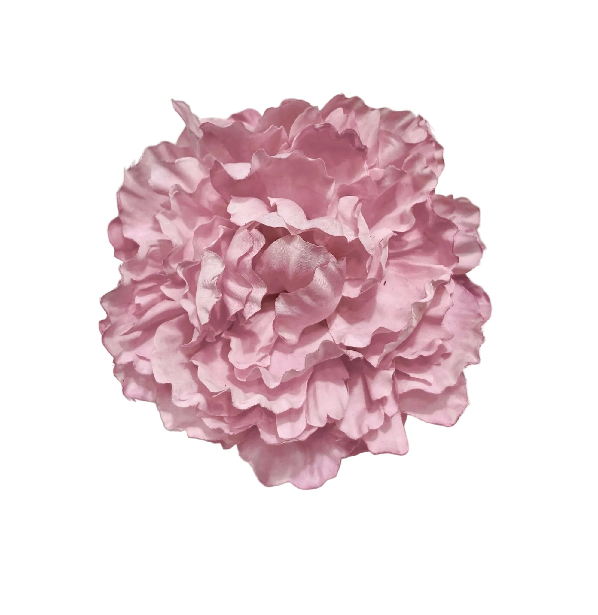 Peonia Rosa