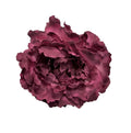 Peonia Tinto